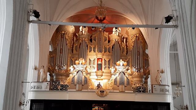 Adagio in G minor Tomaso Albinoni/Remo Giazotto Адажио Альбинони/Ремо Джадзотто смотреть онлайн