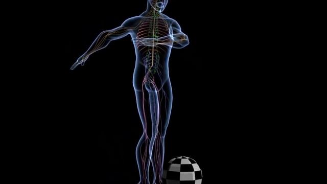 Biology - 3D animation  - Human Nervous System  Overview ( Senior)  - English