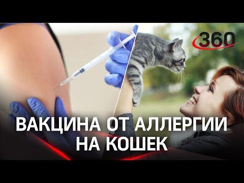 Вакцина от аллергии на кошек появится в России. Добровольцев начнут прививать в 2023 году