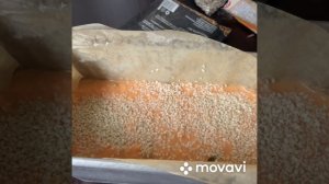 Хлеб из чечевицы. Первый опыт. Все получилось.