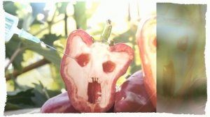 Действительно ли опасны продукты с ГМО? Что будет с вами, если употреблять гмо продукты постоянно?