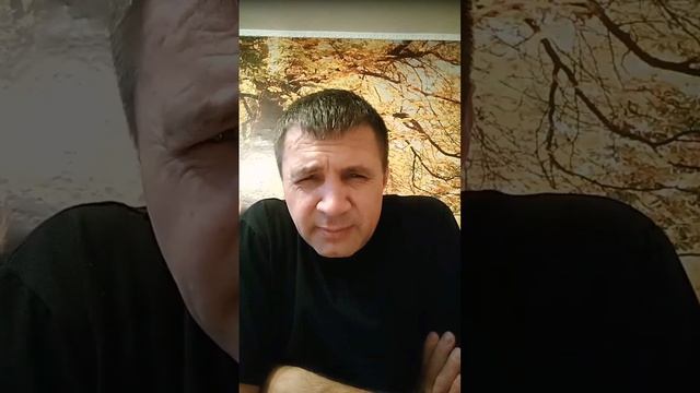 что такое твердая пища