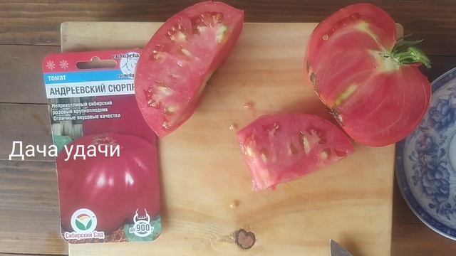 Крупноплодный томат "Андреевский СЮРПРИЗ"/ДЕГУСТАЦИЯ//Дача удачи смотреть онлайн