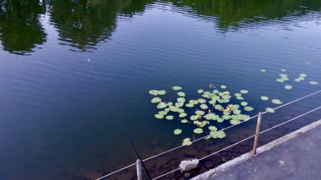 Бад Эмс в вечерних сумерках. Bad Ems, 2014 смотреть онлайн