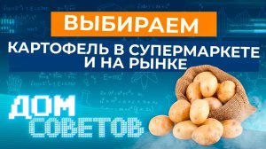 Выбираем картофель в супермаркете и на рынке