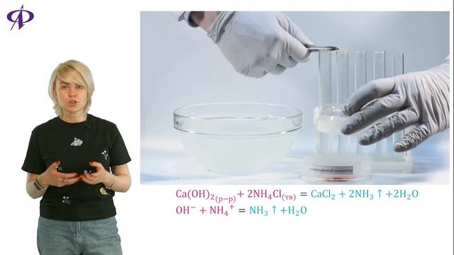 Химия | Лабораторная работа №8.3 "Свойства раствора гидроксида кальция" смотреть онлайн