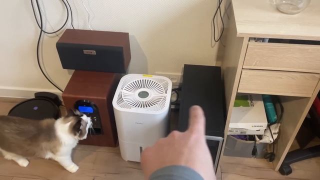 Шиндяевы: Очиститель воздуха нам помог! / прогулка/ покупки смотреть онлайн