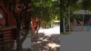 Woodline Hotel 3*, Турция, Кемер - ANEX Tour