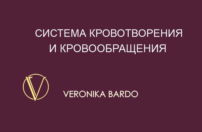 Система кровотворения и кровообращения. Энергетическая чистка онлайн