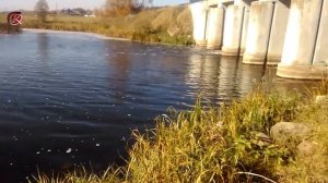 Где ловить на БЕРЕЗИНЕ | Есть ли рыба на дамбе | Рыбалка на Березине