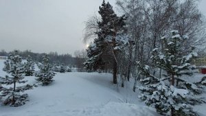 КЕМЕРОВО. СКАЗОЧНАЯ ЛЕСНАЯ ПОЛЯНА.? ЗДЕСЬ Я ПОЛЮБИЛ ЗИМУ