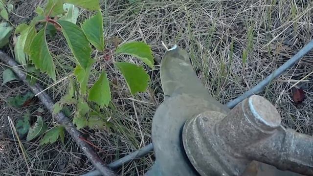 Расчищаем очень заросший участок смотреть онлайн