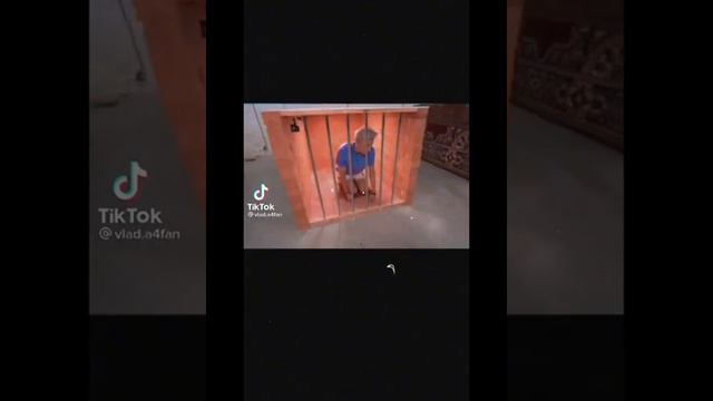 Мы не крысы мы друзья