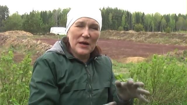 Как сделать грядку по методу Хольцера