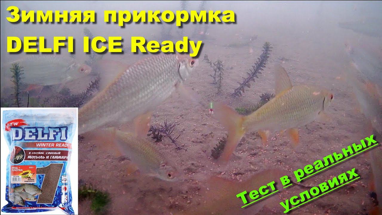 Зимняя прикормка DELFI ICE Ready. Тест прикормки в реальных условиях