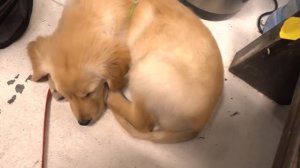 VLOG МОЯ ЭКСТРЕМАЛЬНАЯ СЪЕМКА НА КРЫШЕ НЕБОСКРЕБА В ЛОС-АНДЖЕЛЕСЕ ?❤️ГОДОВЩИНА СВАДЬБЫ