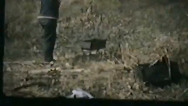 Байконур 1985 год 10 отдел на шашлыках смотреть онлайн