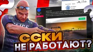 ФИБЫ ЗАКРЫЛИ ИП? MAJESTIC RP GTA 5