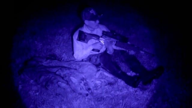 Coyote No. 13, 14, 15 Pulsar APEX XD75A True Thermal Triple Coyotes смотреть онлайн