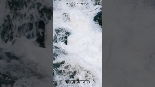 природа #shorts 3 смотреть онлайн