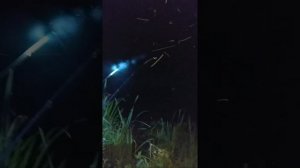 Ловля на донку. Пробуем ловить сома. STREAM
