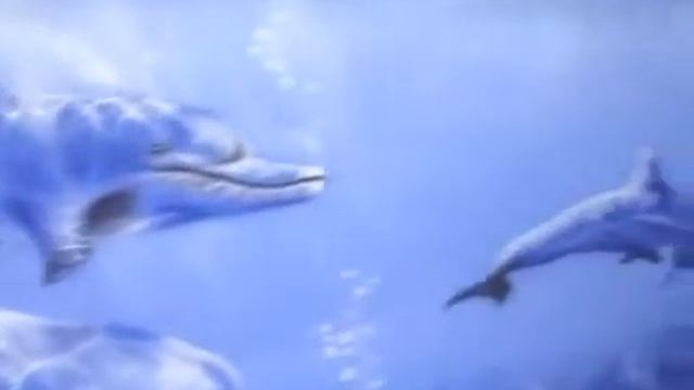 аэрография 888 бассейн смотреть онлайн