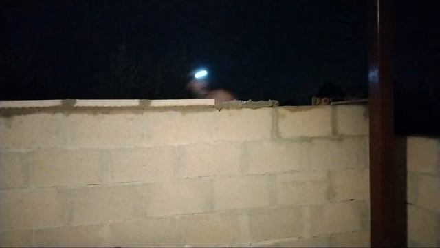 "Tutorial completo del muro de bloques y colocación de tapas - ¡Termina tu proyecto con estilo!" смотреть онлайн