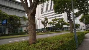 "Новая Япония" - Как застраивают новый район города Йокогама?