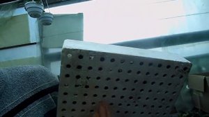 КАК ПРОСТО ДОСТАТЬ РАССАДУ ИЗ КАССЕТЫ.