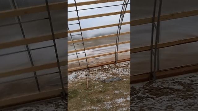 МАЛИНА МАРАВИЛЛА!ПОСТРОЙКА ТЕХНИЧЕСКОЙ ТЕПЛИЦЫ 9.34×46МЕТРОВ(ВЫРАЩИВАНИЕ САЖЕНЦЕВ)