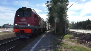 Прикол от РЖД: грузовой 2ТЭ25КМ с пригородным поездом Псков – Дно