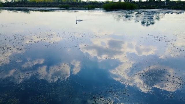 Тайна имени Николай смотреть онлайн