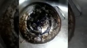 Как вывести пригорелый жир? Как очистить сгоревшую кастрюлю? Как очистить плиту?