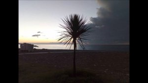 Спасибо, жизнь!