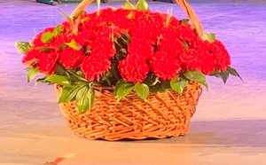 Красная гвоздика 2024