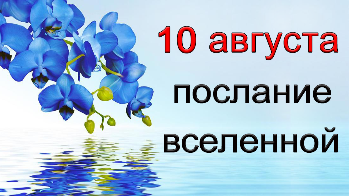 ПОСЛАНИЕ ВСЕЛЕННОЙ на 10 августа.*Эзотерика Для Тебя*