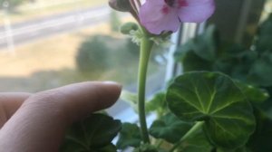 10 августа 2021 г.