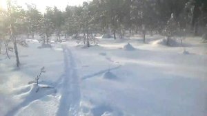 Охота на глухаря с лунок зима 2019