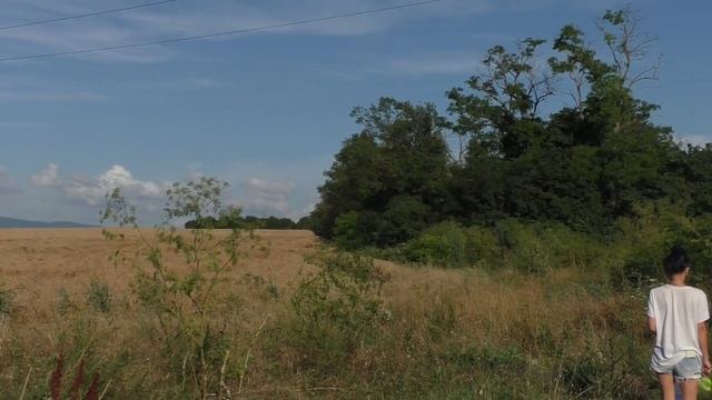 НАТКНУЛИСЬ НА АБРИКОСОВЫЙ РАЙ | ДАРЫ АНАПЫ | переезд в Краснодарский край смотреть онлайн