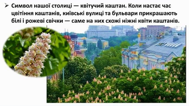 Київ   столиця України