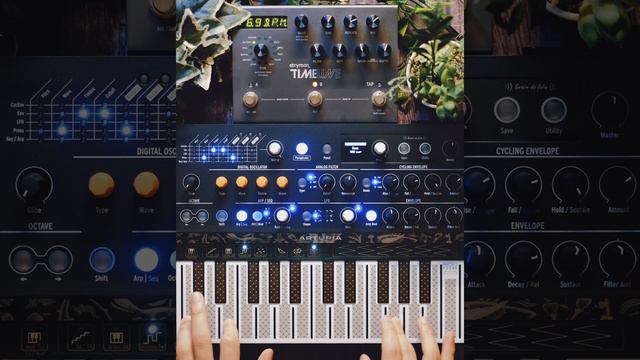 Chill Ambient Jam using Arturia MicroFreak and Strymon TIMELINE смотреть онлайн