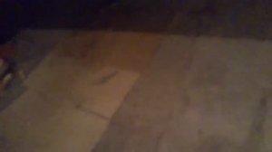 Прямото к на тойоту своими ру