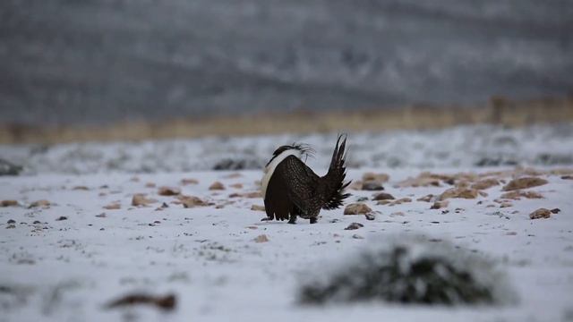 Успокаивающая музыка лечит болезни сердца и полезна для сосудов🌿Музыка полезна и полезна для душ #0 смотреть онлайн