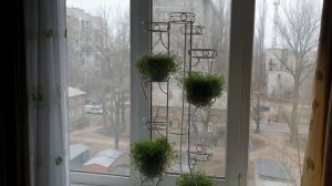 Компактная подставка для цветов на ваш подоконник.