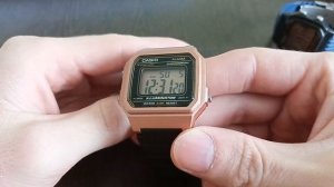 Casio W-217HM-9A