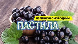 Пастила из черной смородины ? Лакомство для детей и взрослых