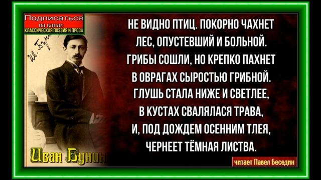 Не видно птиц ,Иван Бунин ,Русская Поэзия, читает Павел Беседин смотреть онлайн