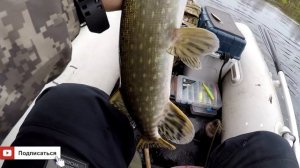 Твичинг по холодний воде!!! С Михалычем на реке Сейм! Осень 2018. Поклевки в кадре!