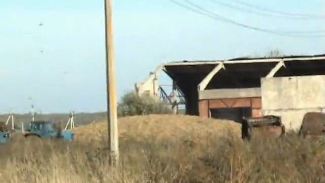 Повадино - лидер сельхозпроизводства России