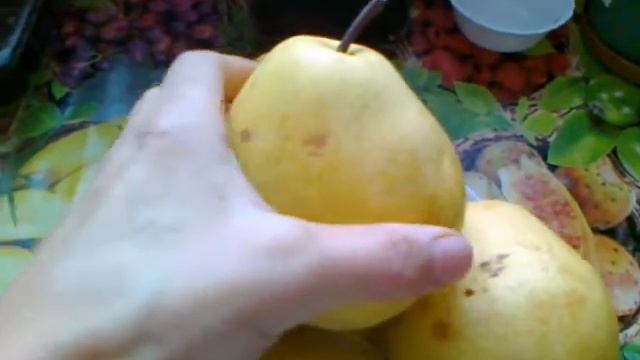 Груша Январская. Егорьевский тепличный комбинат. смотреть онлайн